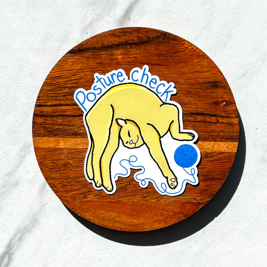 Posture check sticker, hyper mobility decal, ehlers-danlos syndrome sticker