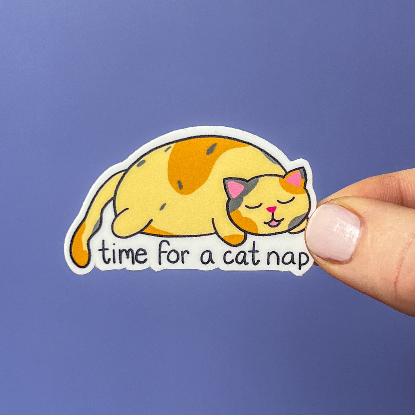 Sticker of a cat sleeping with 'time for a cat nap' text held by a hand against a blue background